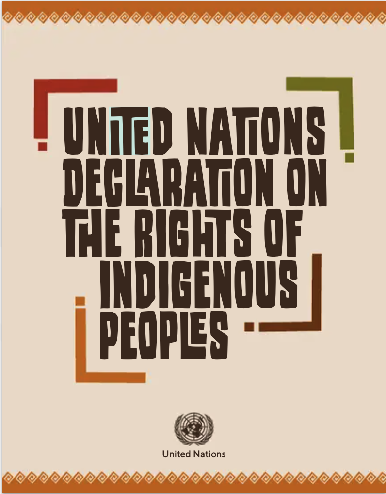 UNDRIP